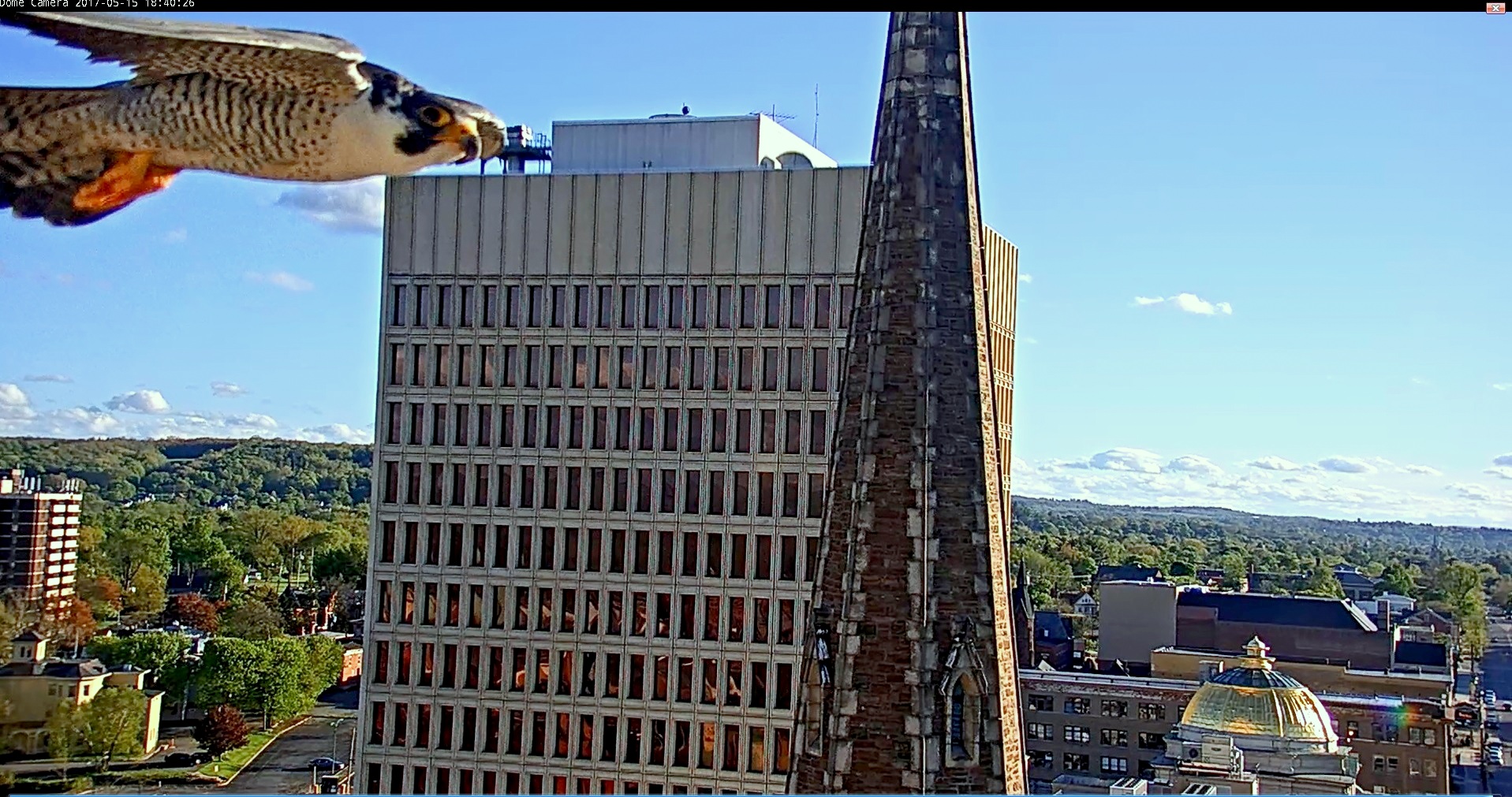 A rare shot of Ares sailing close to our PTZ cam