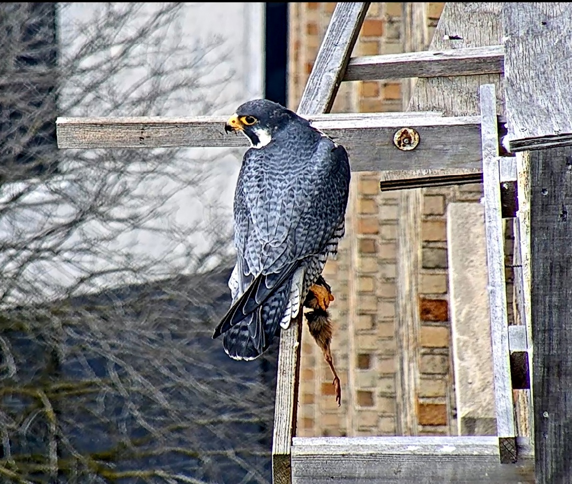 Ares waits for Astrid to come and take his small tribute