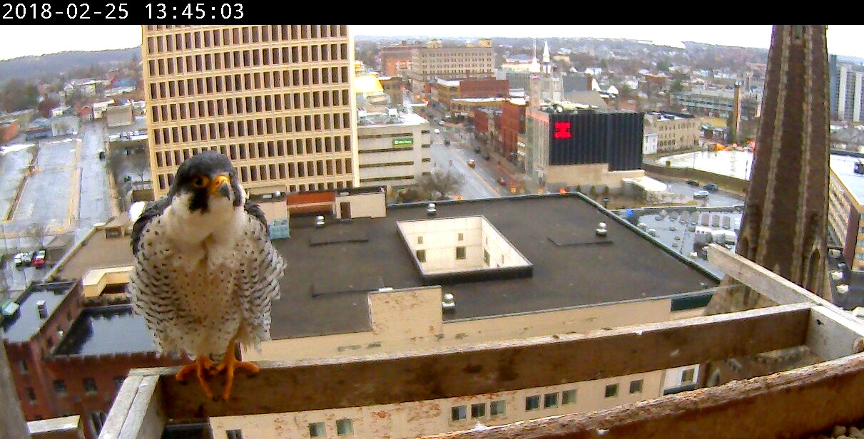 Ares waits at the box for Astrid to show up again