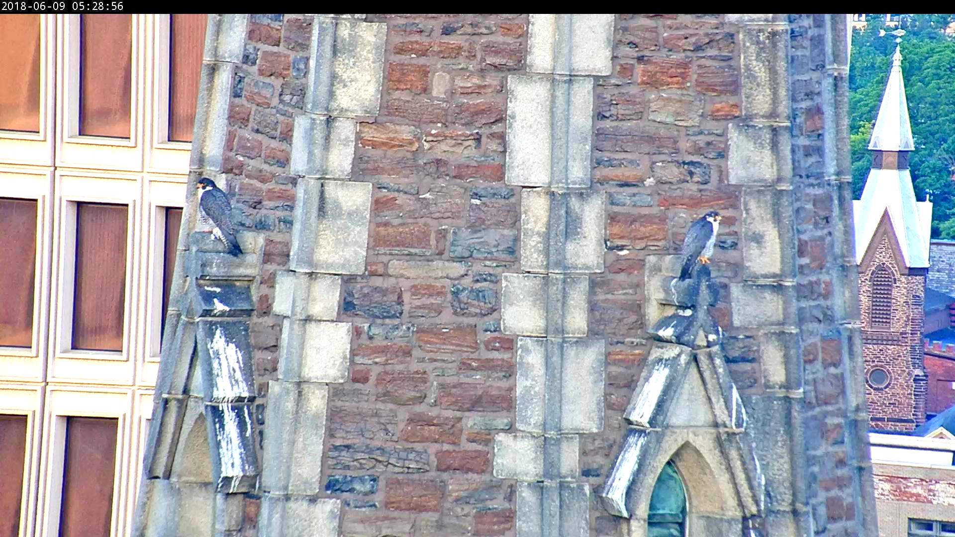 A&A on the steeple