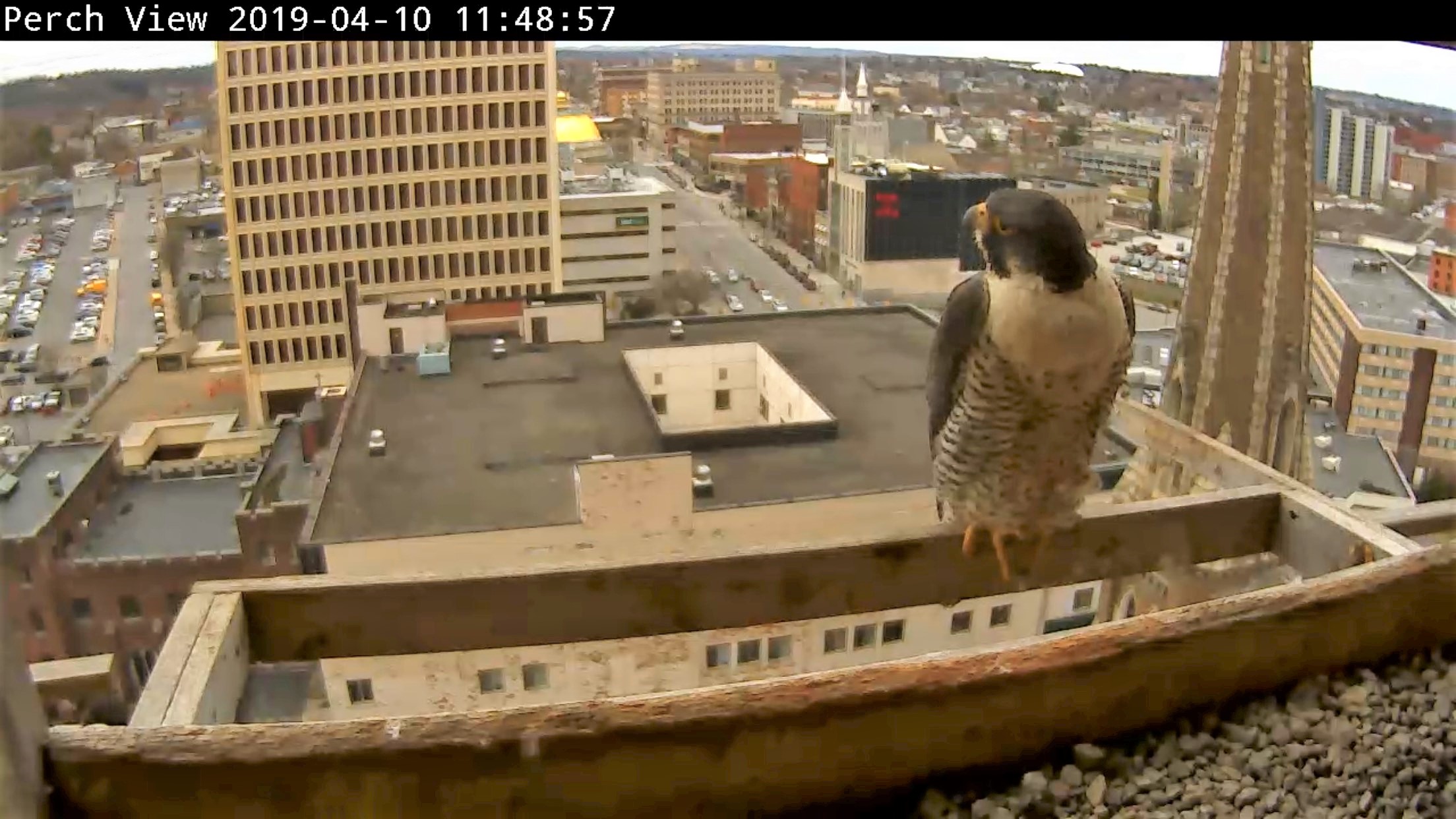 Astrid looks back towards the men working on the State Building