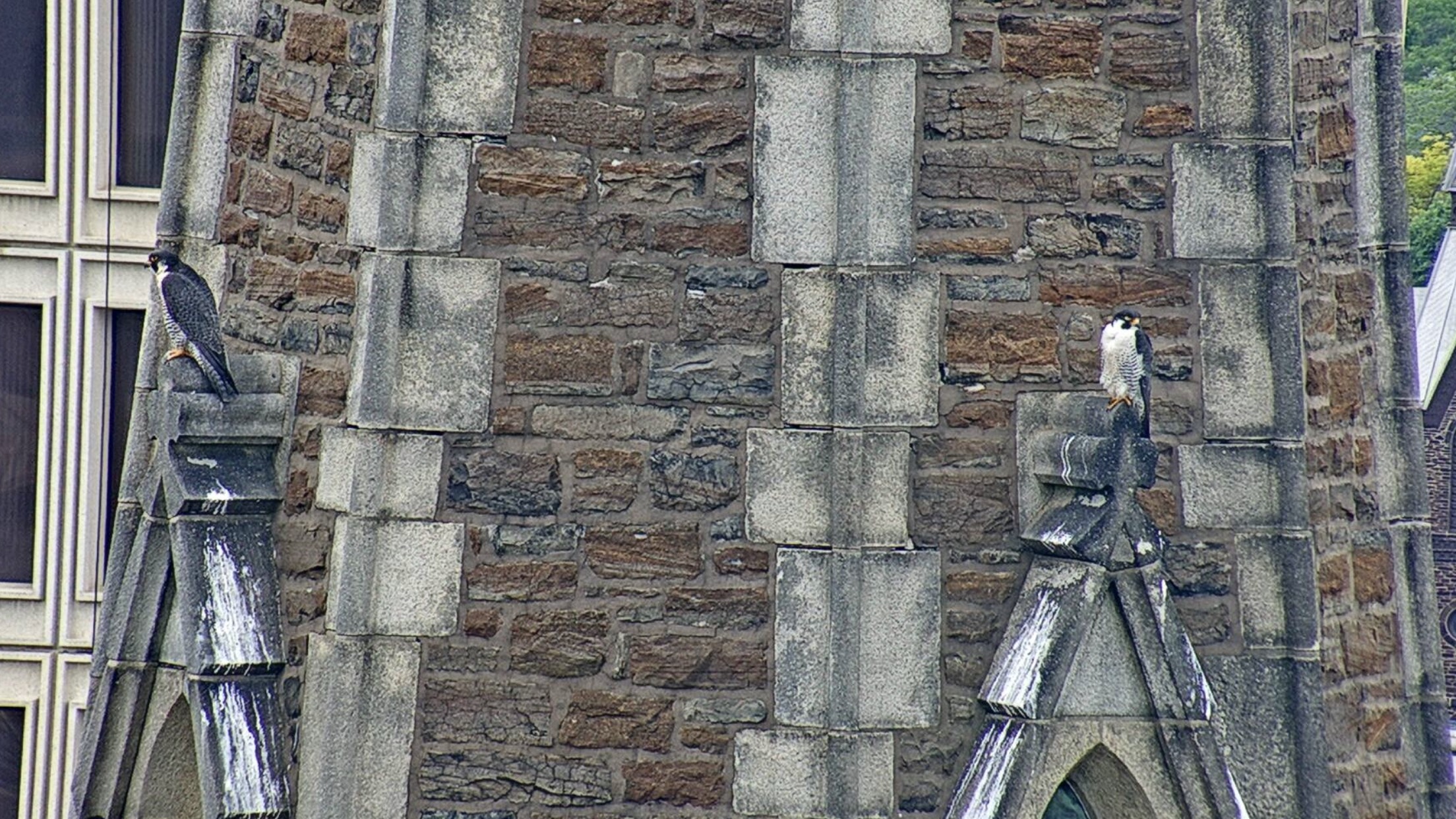 Parents on the steeple