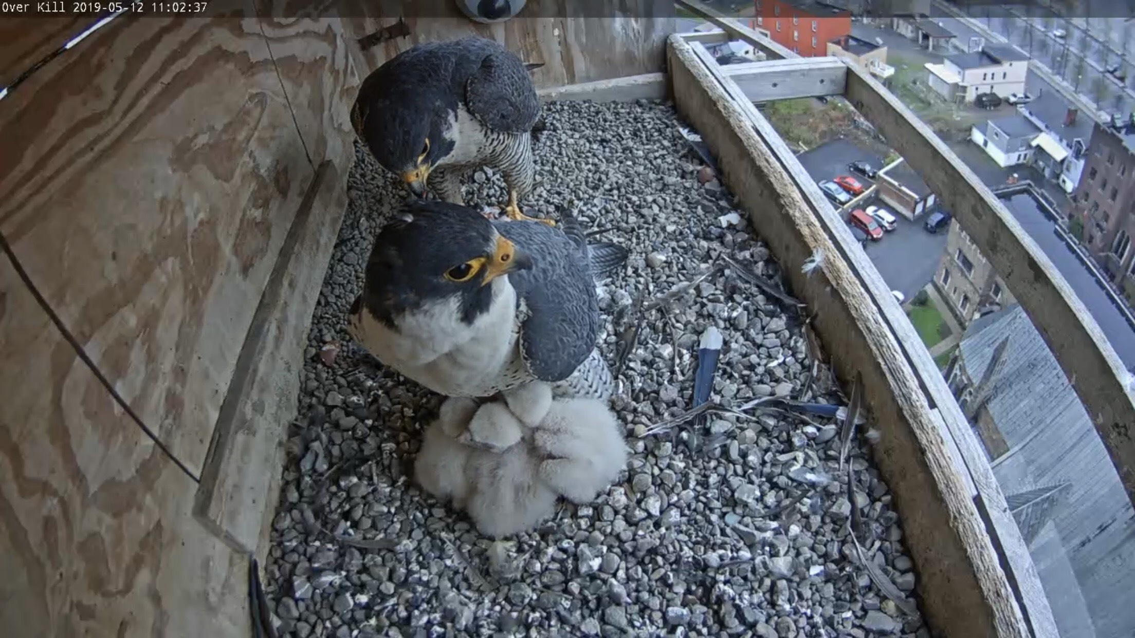 Astrid comes in with food and Ares wants to keep brooding