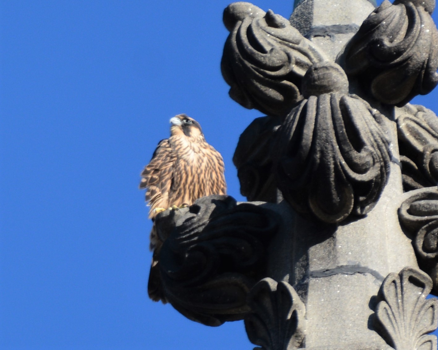 The top of the steeple