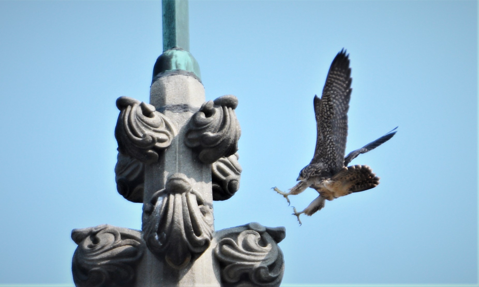 Keisha landing on the steeple