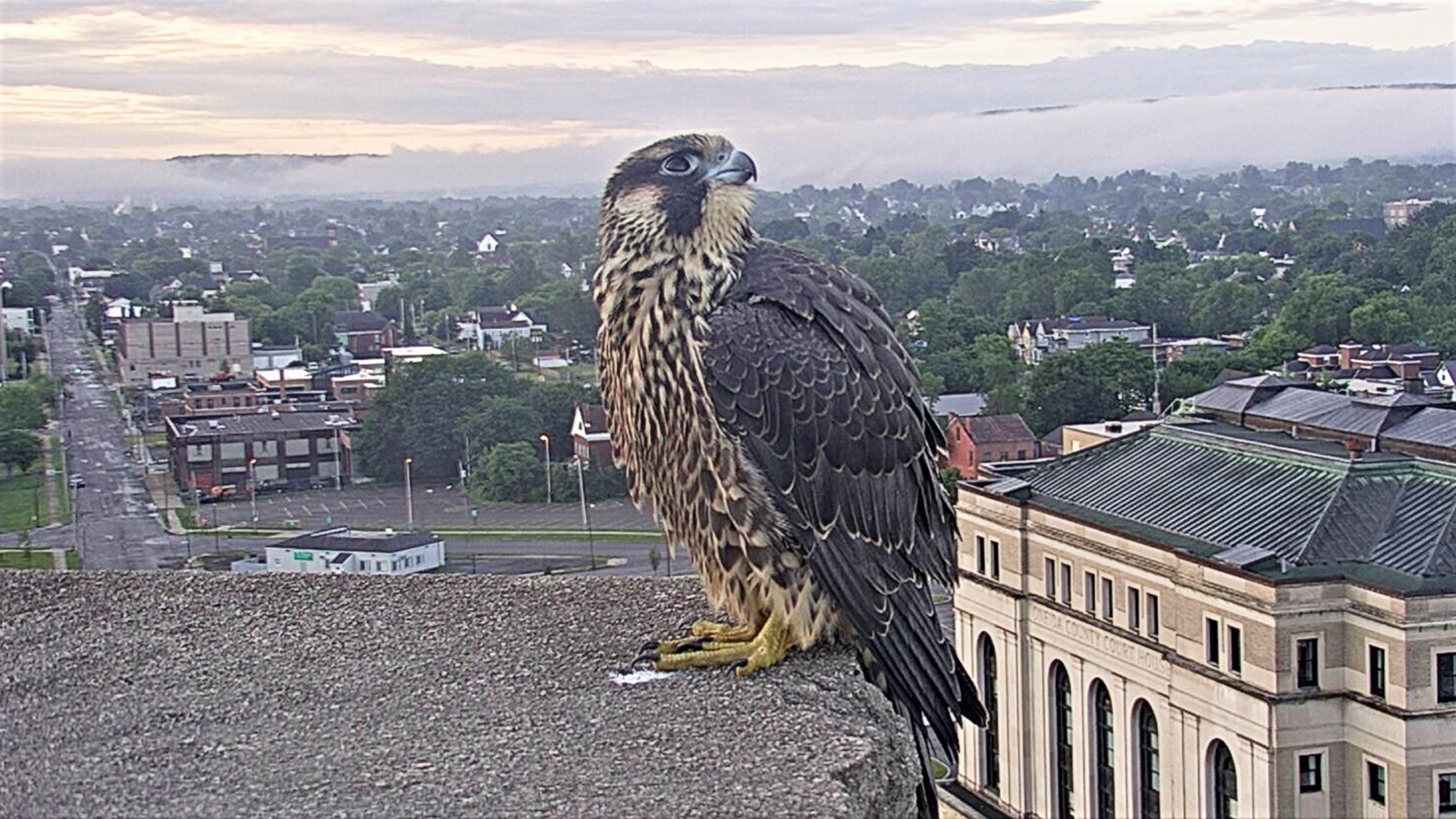 Keisha on ADK Bank roof