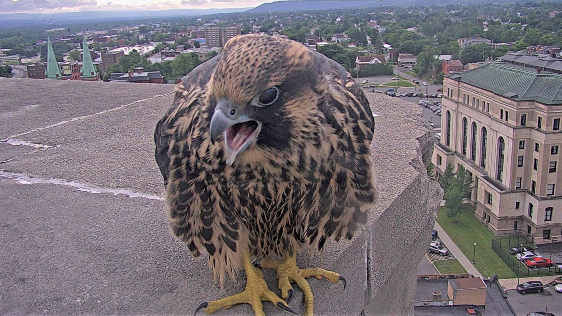 Keisha on the roof of the Adirondack Bank